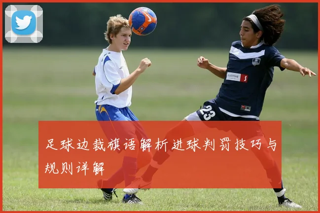 足球边裁旗语解析进球判罚技巧与规则详解