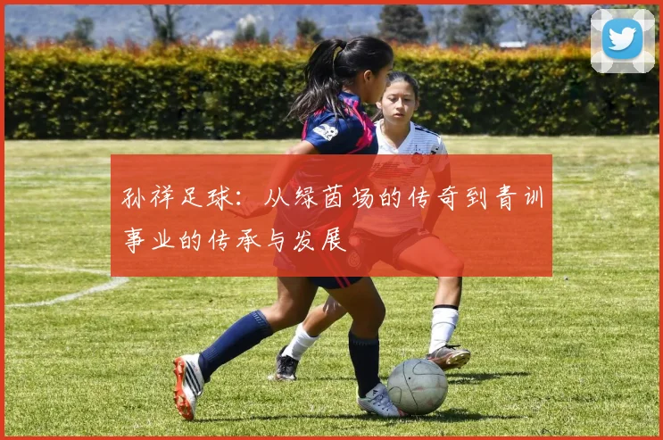 孙祥足球：从绿茵场的传奇到青训事业的传承与发展