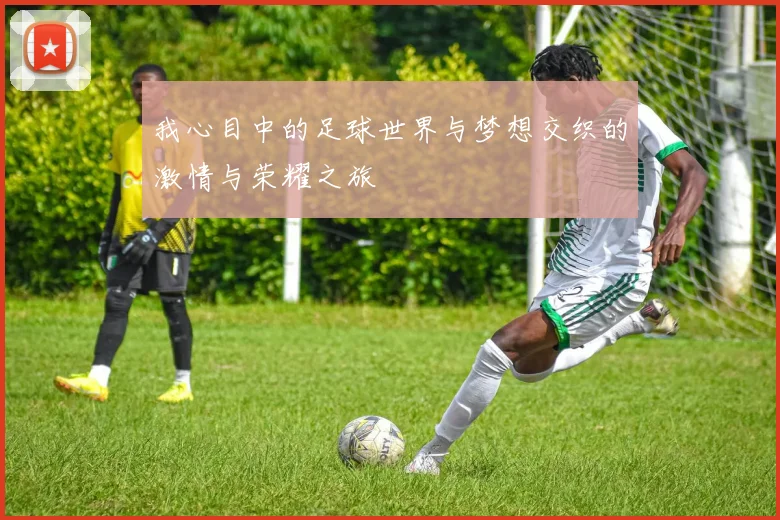 我心目中的足球世界与梦想交织的激情与荣耀之旅