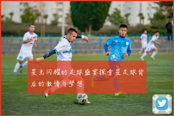 星光闪耀的足球盛宴探索星足球背后的激情与梦想