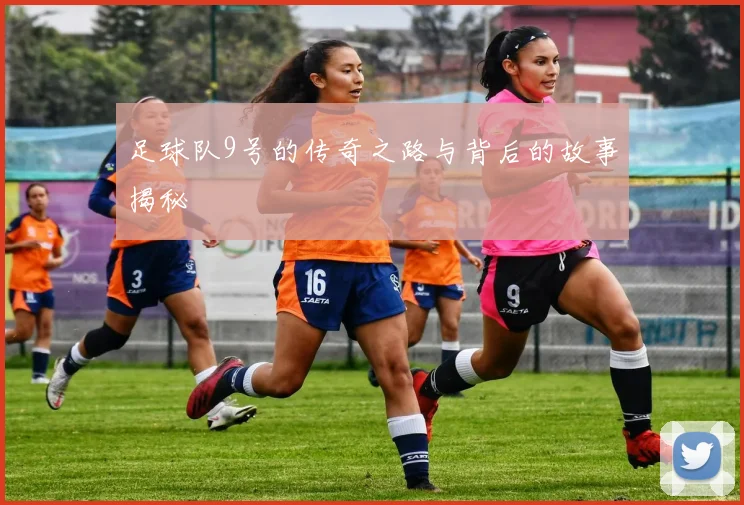 足球队9号的传奇之路与背后的故事揭秘